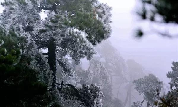 怼老师，怼不过怎么办？