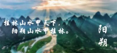 1月24日美股成交额前20：英伟达再创新高，市值突破15000亿美元